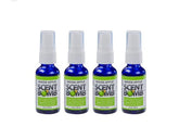 Scent Bomb Air Freshners Pack of 20